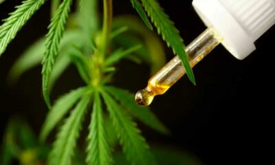 Cannabis medicinal en Brasil en 2024