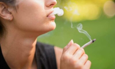 Desciende el consumo de cannabis entre los adolescentes