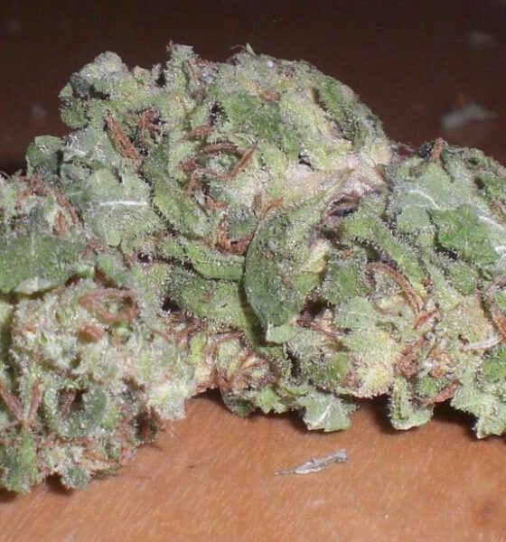 Blue Cheese