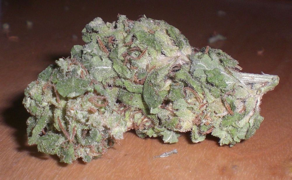 Blue Cheese