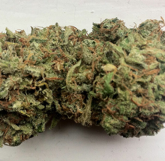 Lemon Haze