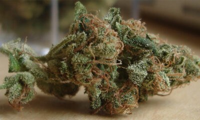 Sour Diesel