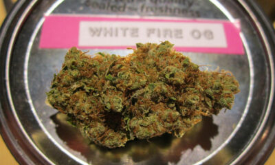 White Fire OG