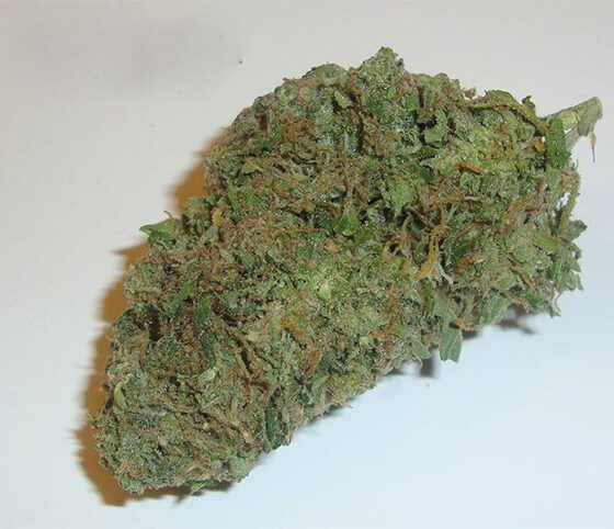 White Widow