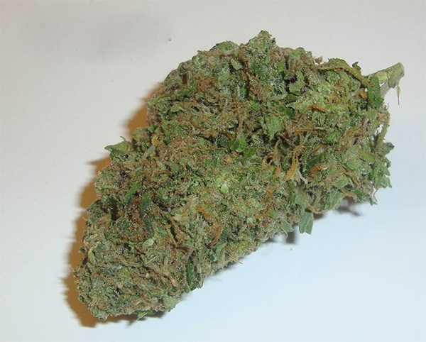 White Widow