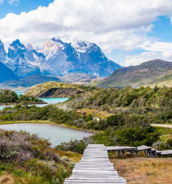 Legalización del cannabis en Chile