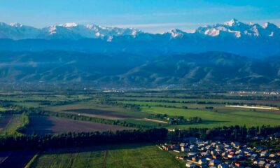 Cultivo de cáñamo en Kazajstán