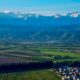 Cultivo de cáñamo en Kazajstán