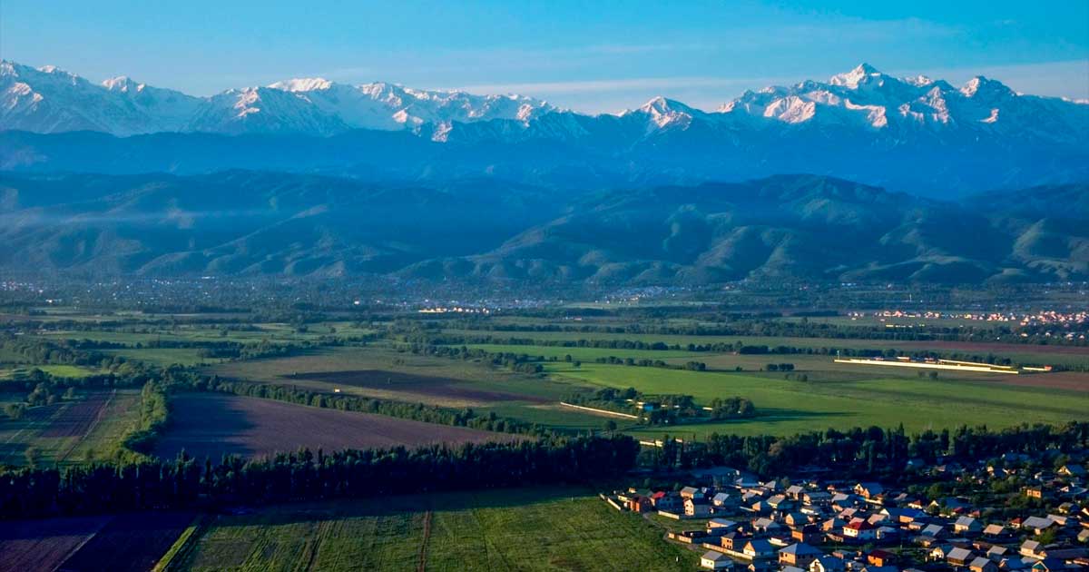 Cultivo de cáñamo en Kazajstán