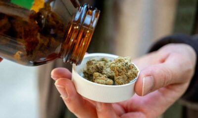 Importación de cannabis medicinal en Alemania