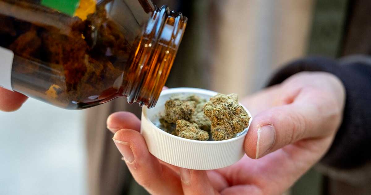 Importación de cannabis medicinal en Alemania