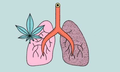 Estudio sobre el efecto del cannabis y el tabaco en el pulmón