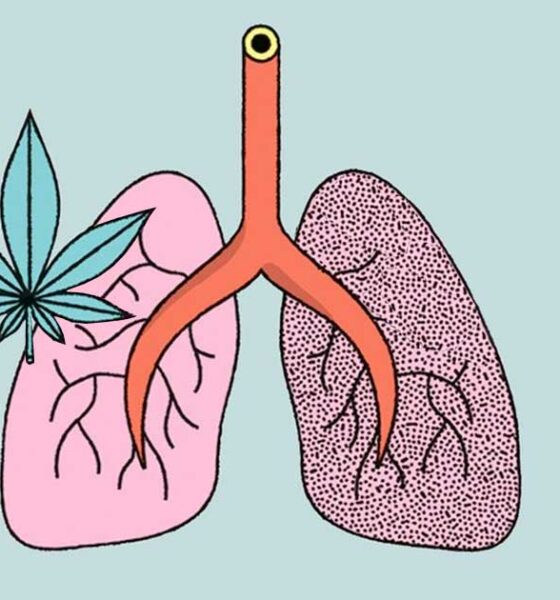 Estudio sobre el efecto del cannabis y el tabaco en el pulmón