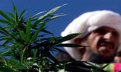 Cáñamo y cannabis medicinal en Pakistán