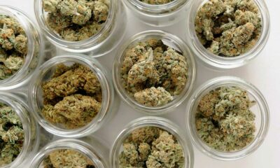 Flores de CBD en Austria