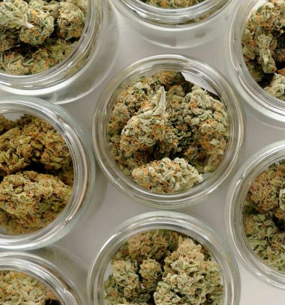 Flores de CBD en Austria