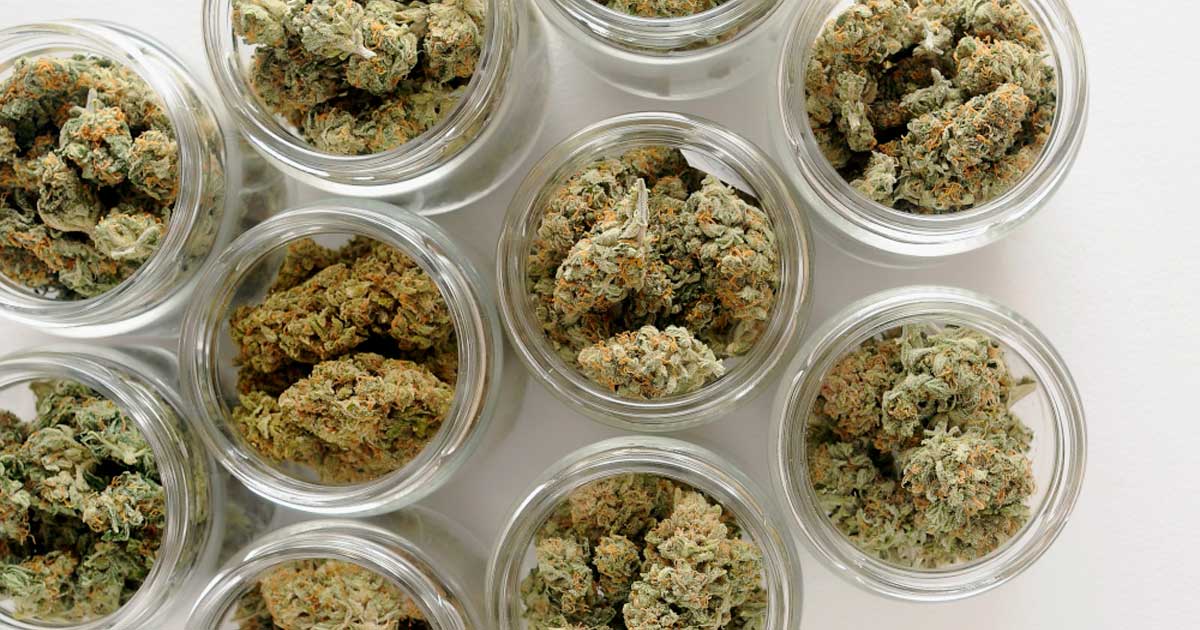 Flores de CBD en Austria