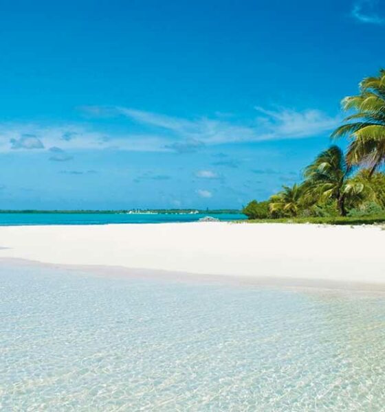 Las Islas Caimán y la despenalización del cannabis