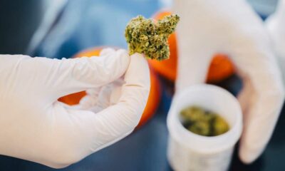 Cannabis en las farmacias alemanas