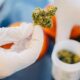 Cannabis en las farmacias alemanas
