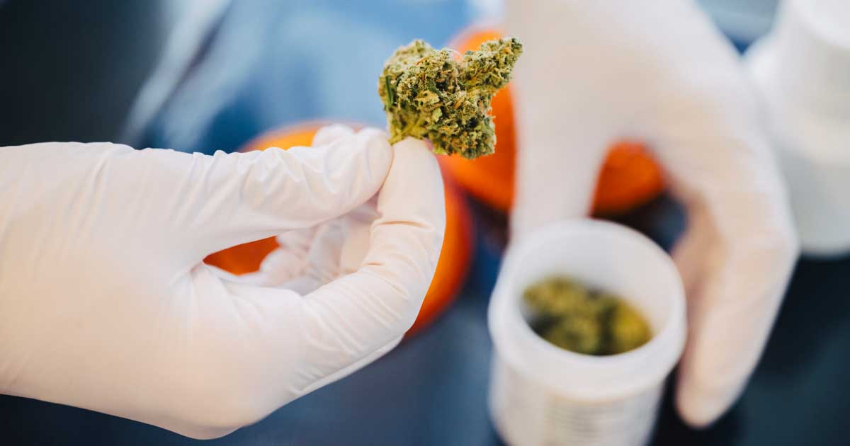 Cannabis en las farmacias alemanas