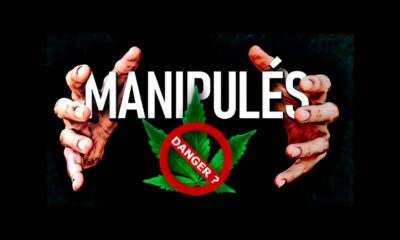 Prohibición francesa manipulada