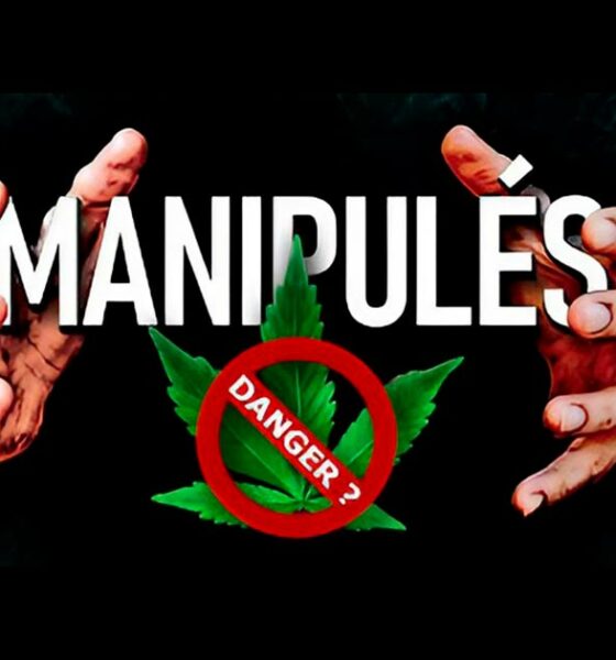 Prohibición francesa manipulada