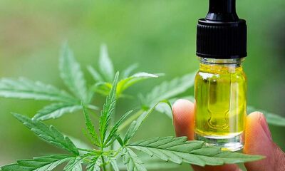 Bélgica reembolsa el CBD para la epilepsia