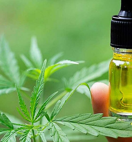 Bélgica reembolsa el CBD para la epilepsia