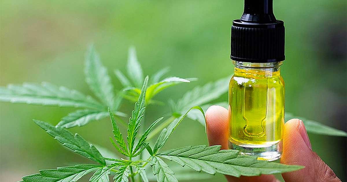 Bélgica reembolsa el CBD para la epilepsia