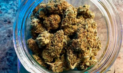 Derecho al cannabis para los prisioneros alemanes
