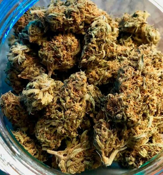 Derecho al cannabis para los prisioneros alemanes