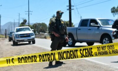 Redada en una granja de cannabis en California