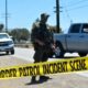 Redada en una granja de cannabis en California