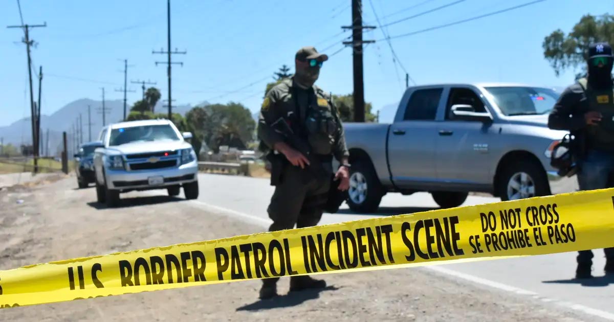 Redada en una granja de cannabis en California