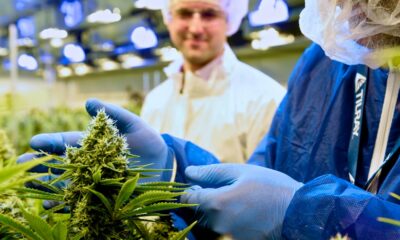 Tilray suministra cannabis medicinal a Italia