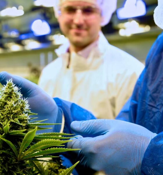 Tilray suministra cannabis medicinal a Italia