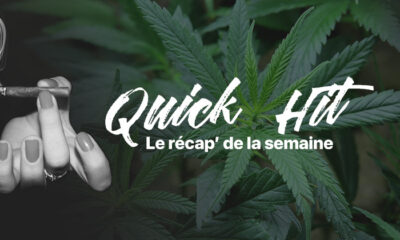 Noticias de actualidad sobre el cannabis