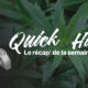 Noticias de actualidad sobre el cannabis