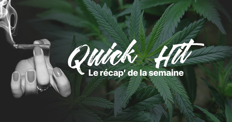 Noticias de actualidad sobre el cannabis