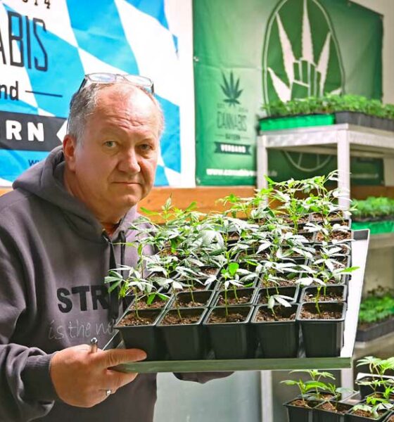 Bloqueo de clubes de cannabis en Baviera