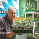 Bloqueo de clubes de cannabis en Baviera