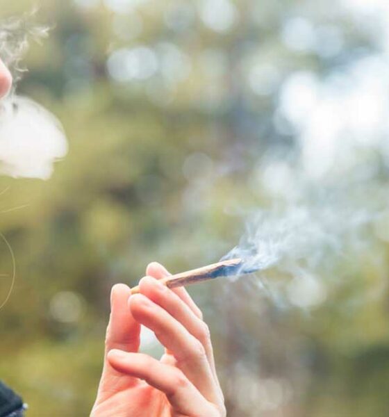 Mujeres, cannabis y fertilidad