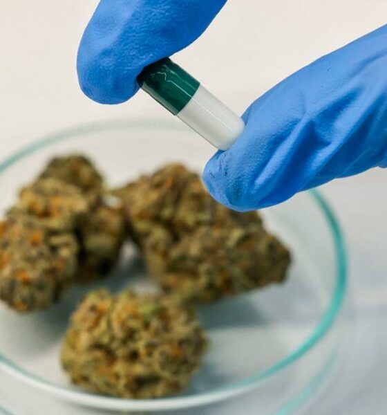 El cáncer en los jóvenes y el cannabis