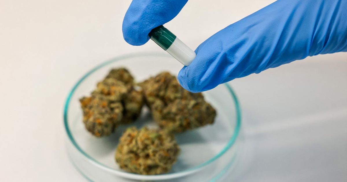 El cáncer en los jóvenes y el cannabis