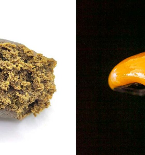 Resina o colofonia