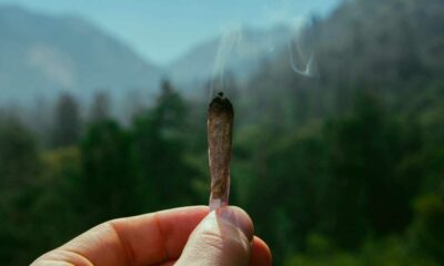 Trail y cannabis