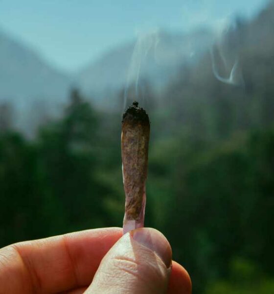 Trail y cannabis