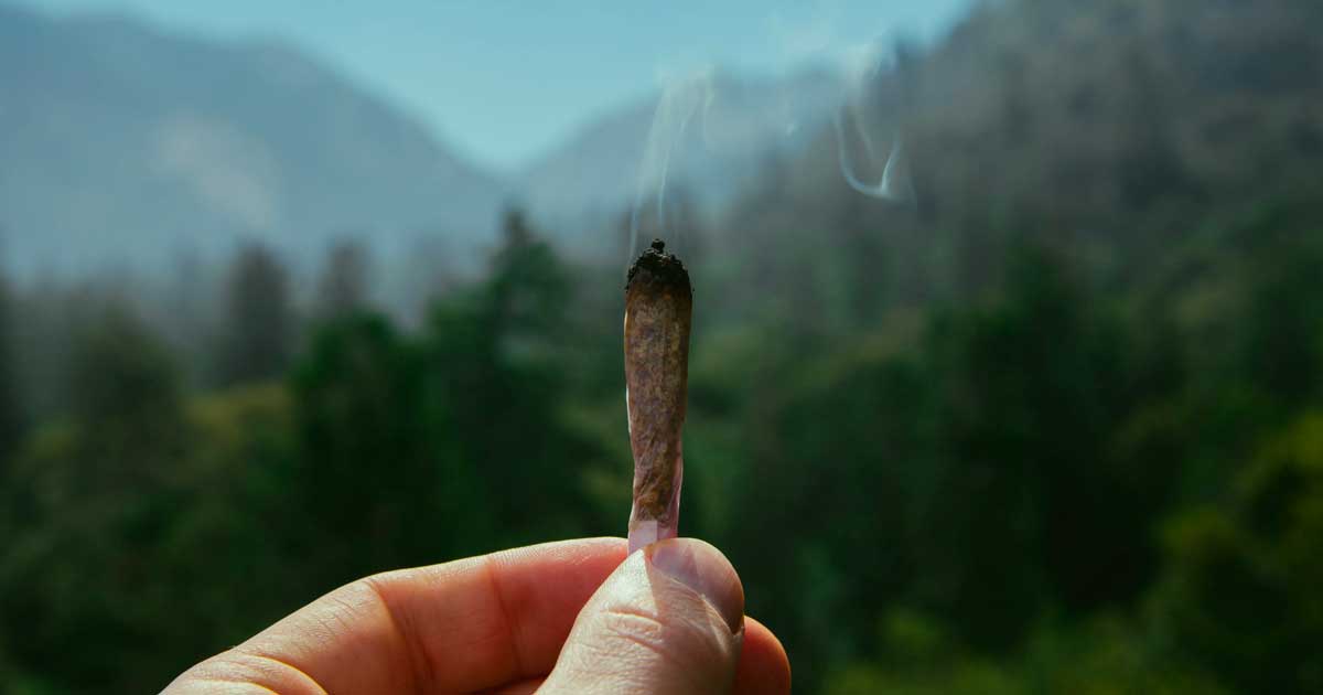 Trail y cannabis