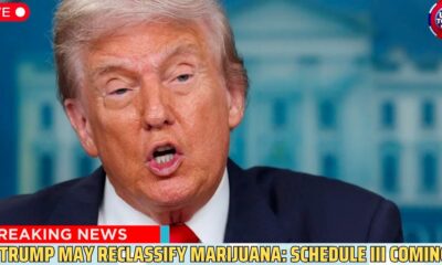 Reclasificación del cannabis en Estados Unidos